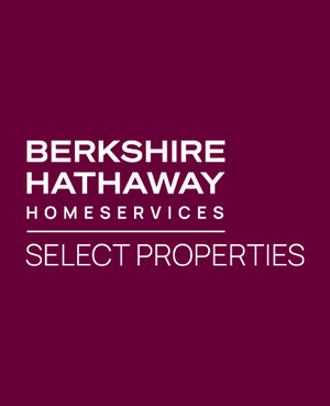 Photo of David Haley